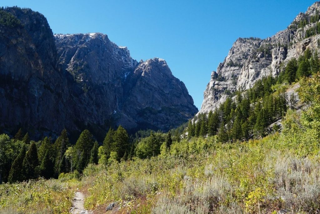 Trail through a meadow along the Death Canyon Trail in Grand Teton