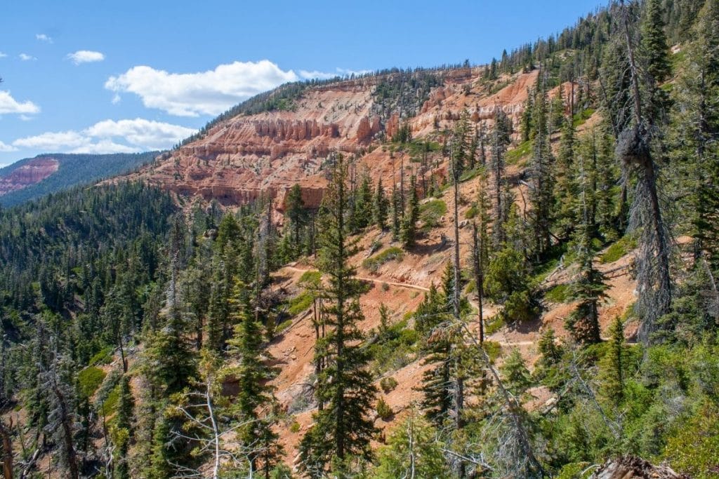 Tree-lined mountains in Dixie National Forest