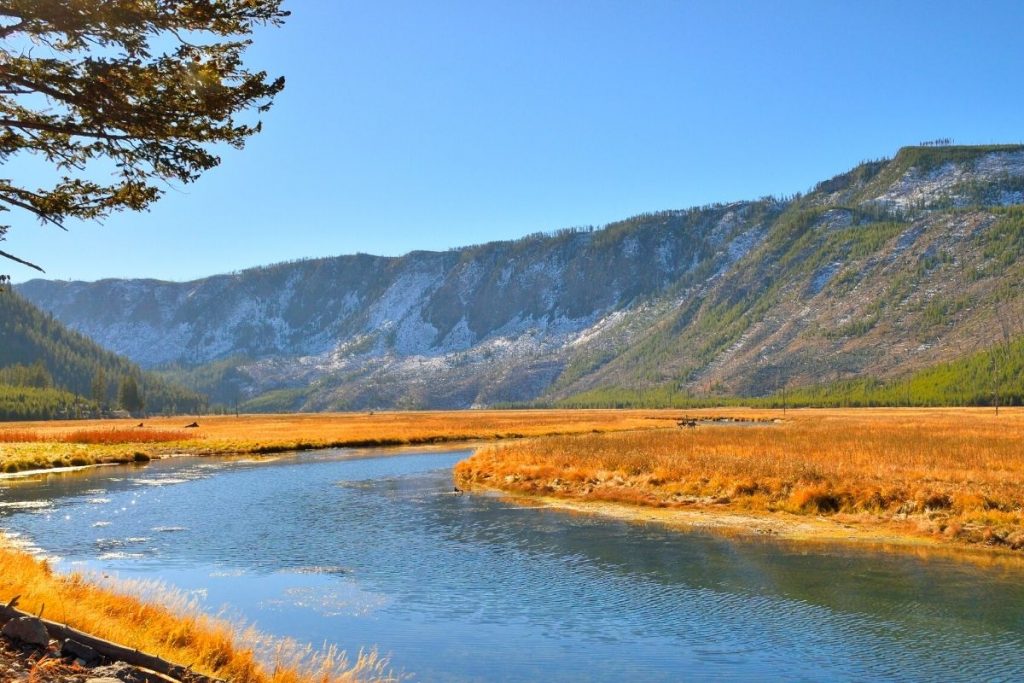 Yellowstone River winds through a golden brown meadow during Fall in Yellowstone