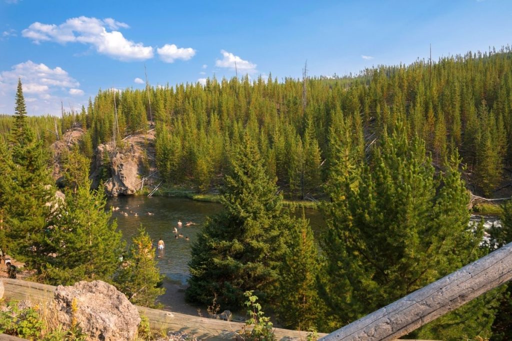 Overlook of tree-lined river and swimming hole in Yellowstone