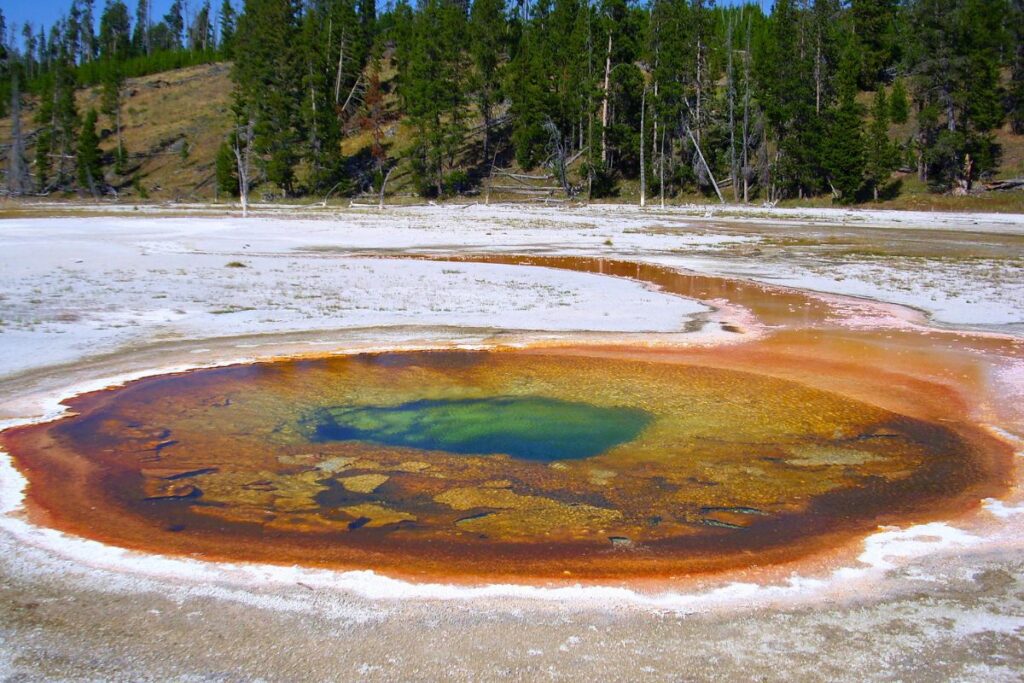 Hot spring along the Fountain Paint Pots Trail in Yellowstone