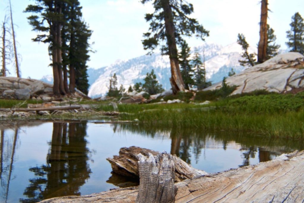 Shores of Franklin Lake in Sequoia National Park