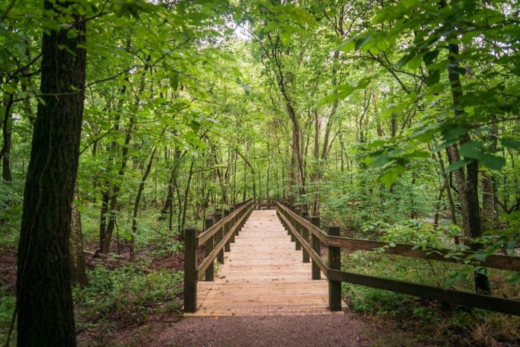 Boardwalk through a forest in George Washington Carver National Monument