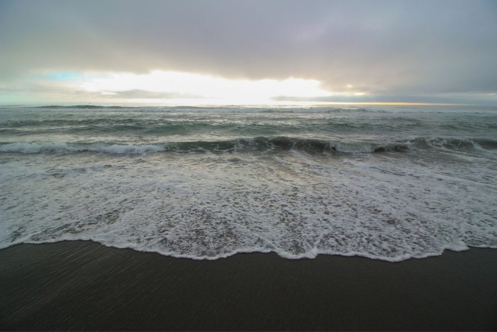 Gold Bluffs Beach in Redwood National Park