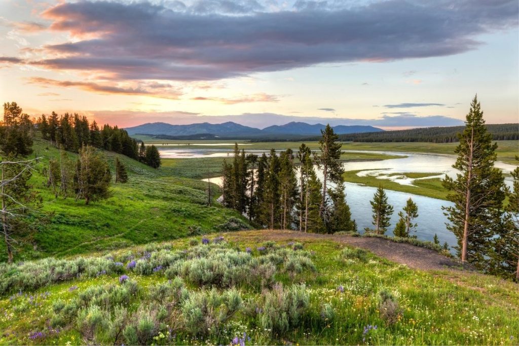 Sunset over a field and river in Hayden Valley in Yellowstone