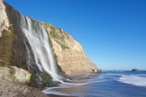 Alamere Falls flows into the Pacific Ocean in Point Reyes National Seashore