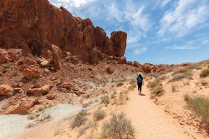 Hiking through the desert landscape