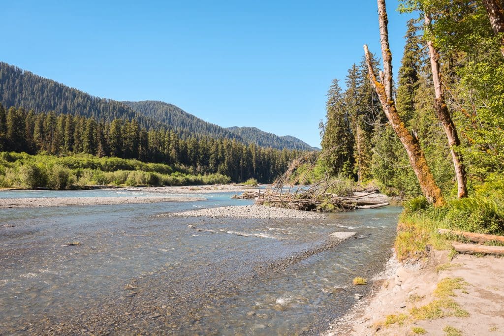 Hoh River on Spruce Nature Trail in Olympic National Park