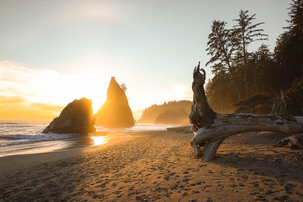 Sunset at Hole-in-the-Wall at Rialto Beach in Olympic National Park