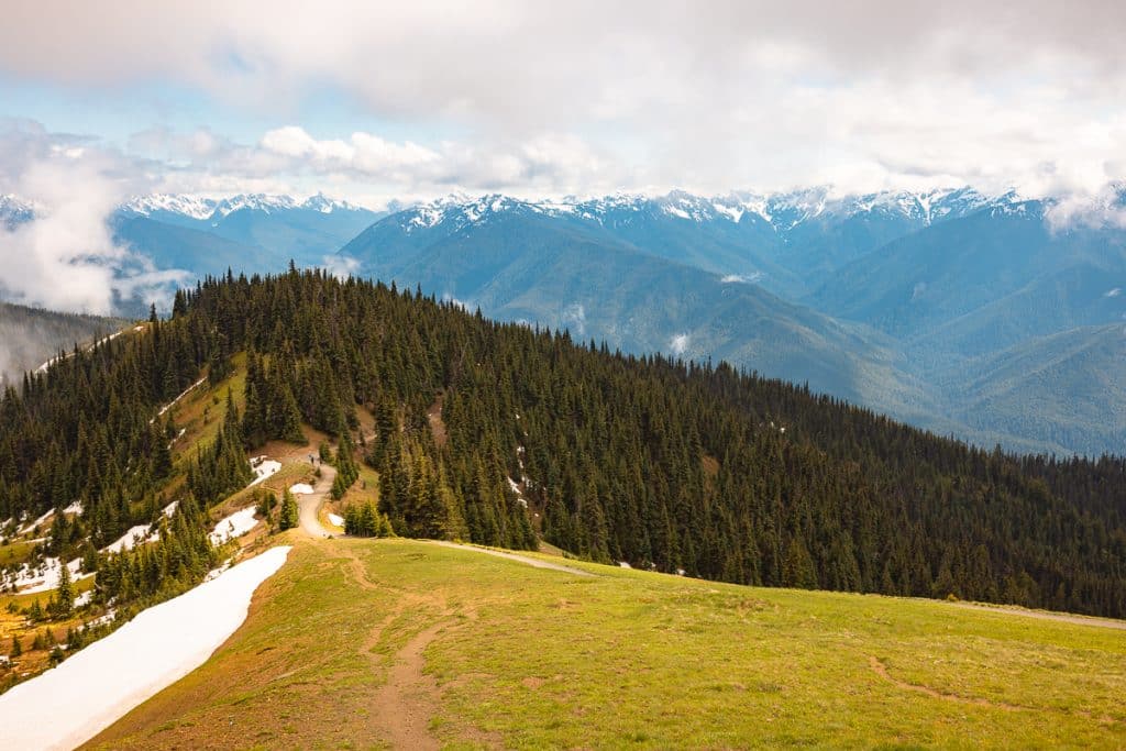 Hurricane Hill Trail in Hurricane Ridge in Olympic National Park