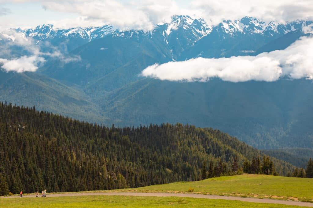 Hurricane Hill Trail in Hurricane Ridge in Olympic National Park