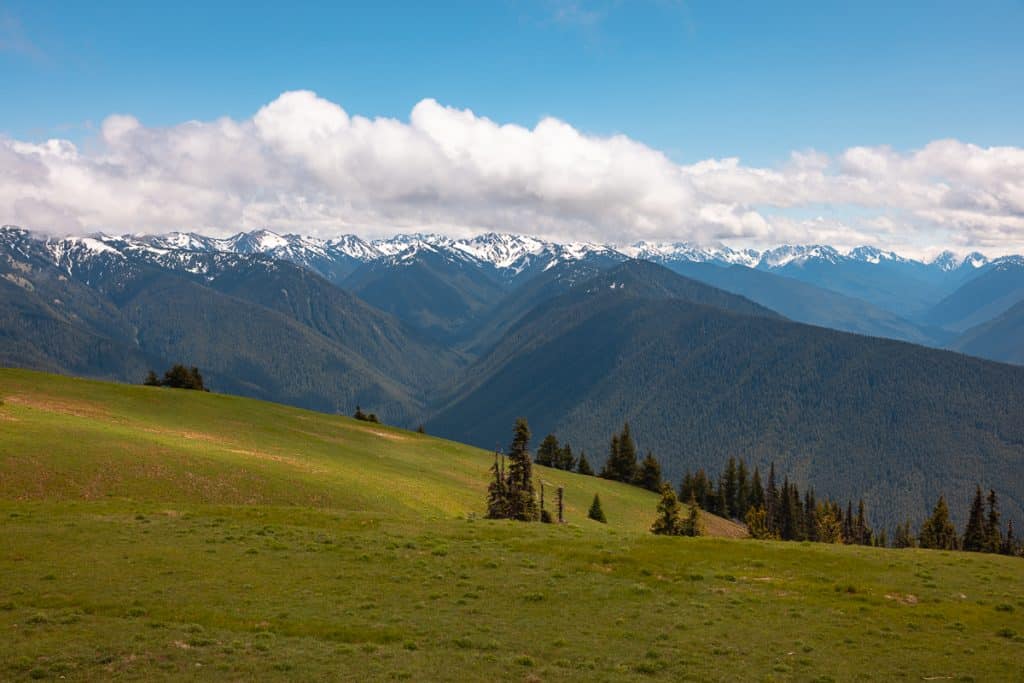 Hurricane Hill Trail in Hurricane Ridge in Olympic National Park