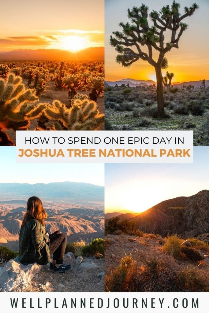 Best day trip to joshua tree itinerary Pinterest Pin