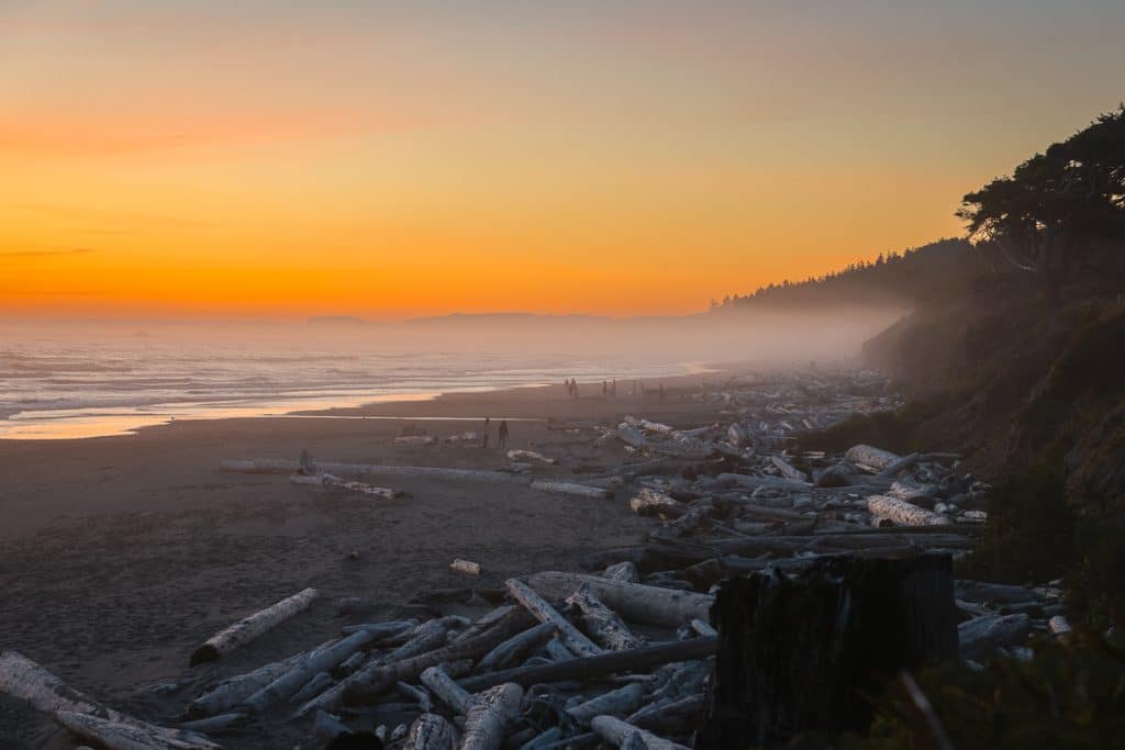 Sunset at Kalaloch Beach in Olympic National Park