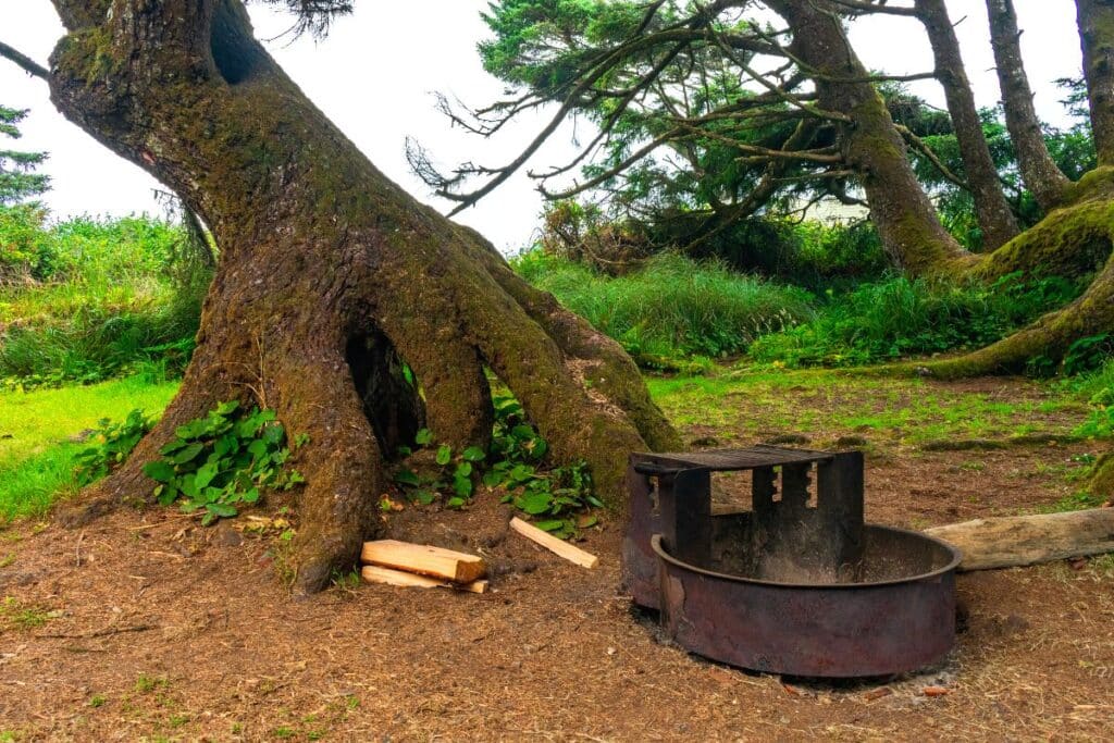 Campsite at Kalaloch Campground in Olympic National Park