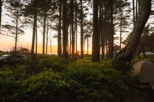 Kalaloch Campground at sunset in Olympic National Park