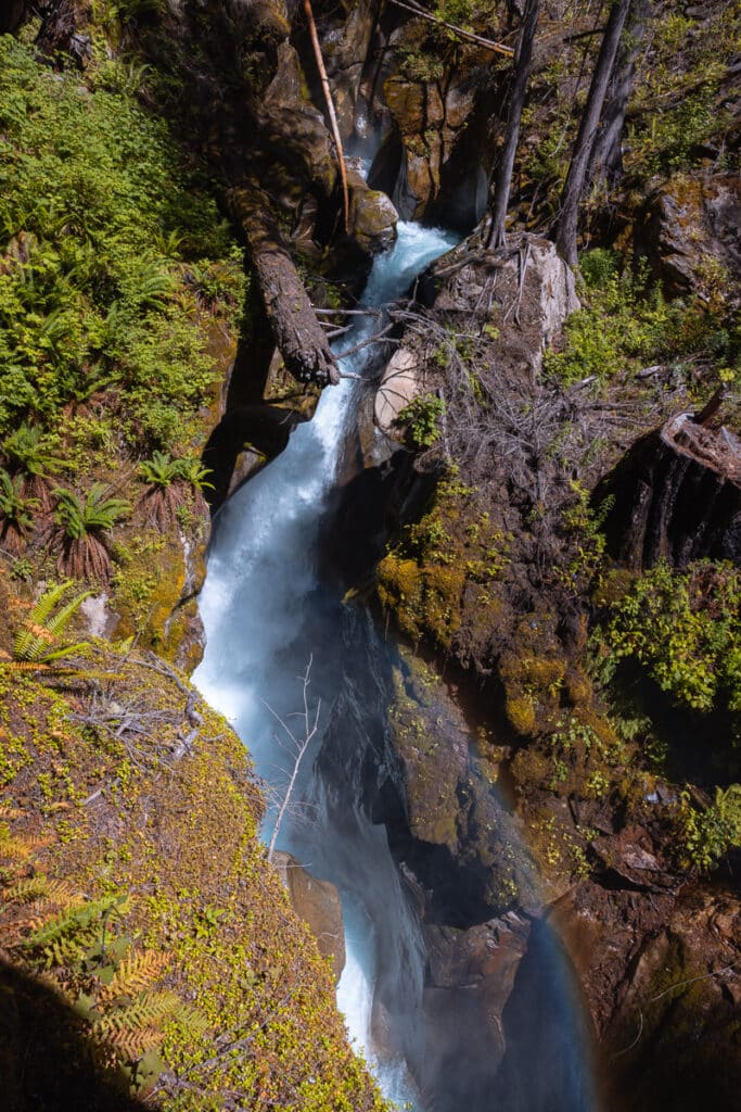 Small waterfall in North Cascades National Park