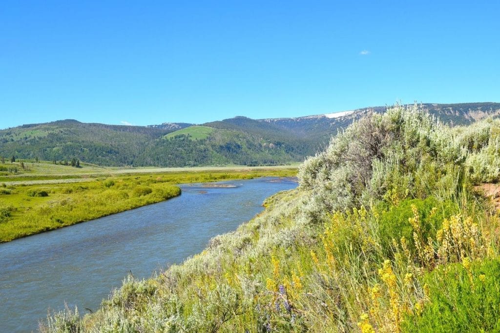 Lamar River flows through valley in Yellowstone