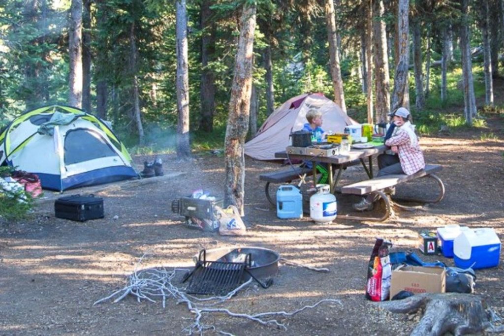 Tent and picnic table at Lewis Lake Campground in Yellowstone