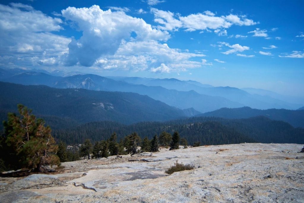 View from the summit of Little Baldy in Sequoia National Park