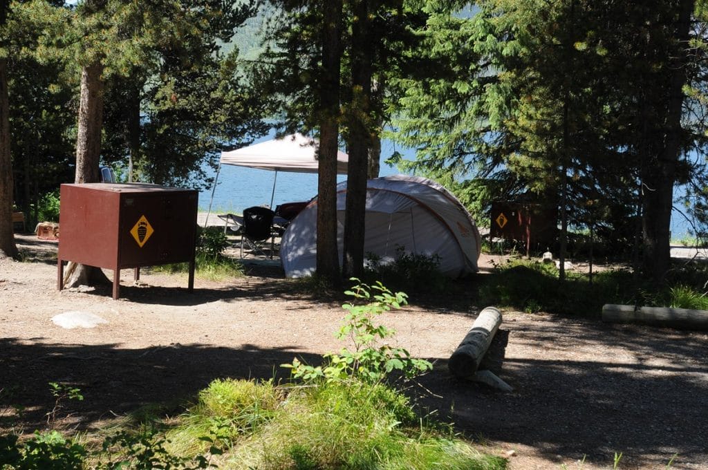 Tent in Lizard Creek Campground in Grand Teton National Park