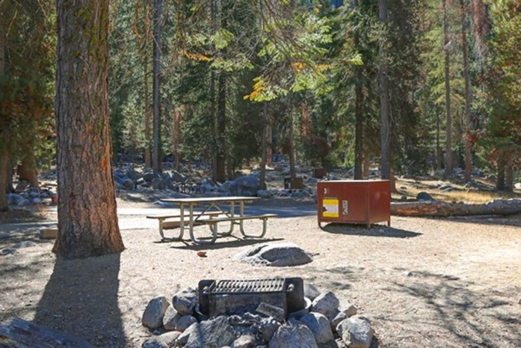 Lodgepole Campground in Sequoia National Park