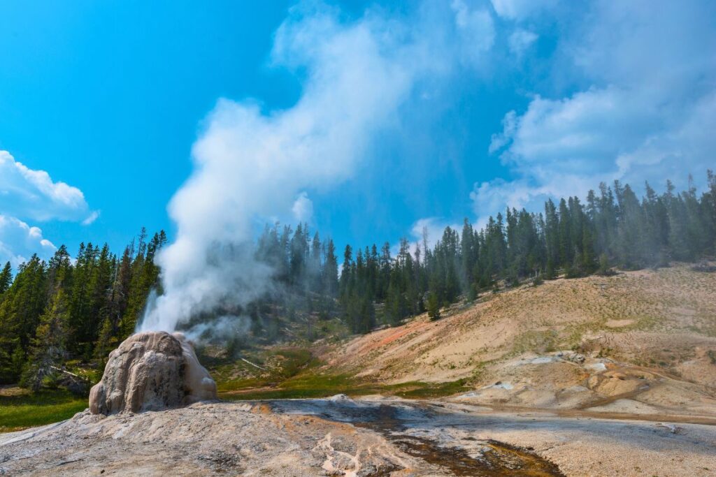 Lone Star Geyser Trail in Yellowstone