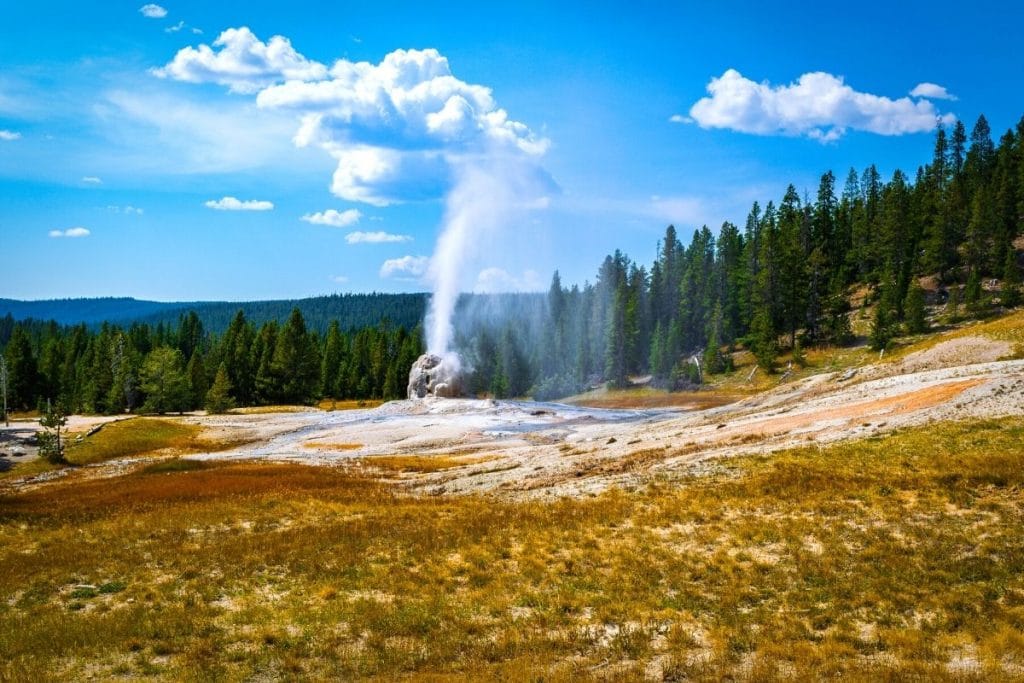 Lone Star Geyser erupts in Yellowstone