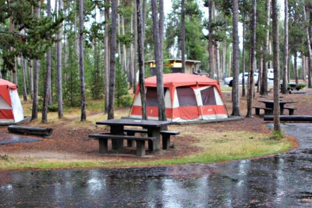 Rainy campsite in Madison Campground in Yellowstone