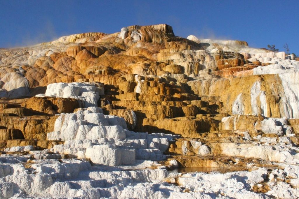 Travertine terraces in Mammoth Hot Springs