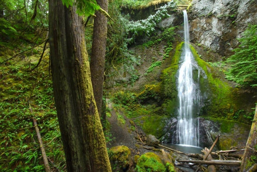 Marymere Falls waterfall in Olympic National Park