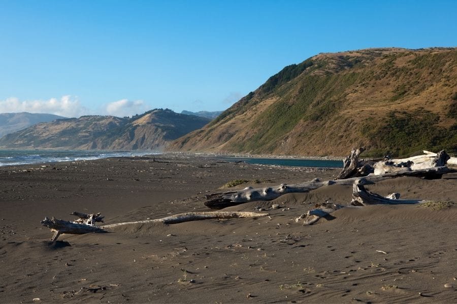 Driftwood is scattered across the dark san on Mattole Beach in the Lost Coast