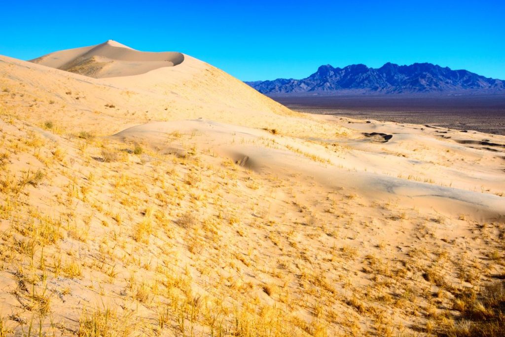 Sand dunes in Mojave National Preserve