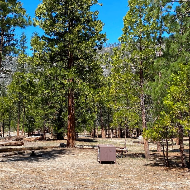 Moraine Campground in Kings Canyon National Park