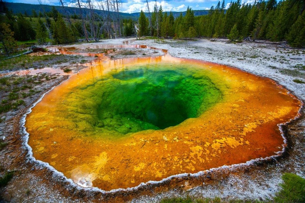 Yellow and green hot spring, Morning Glory Pool in Yellowstone