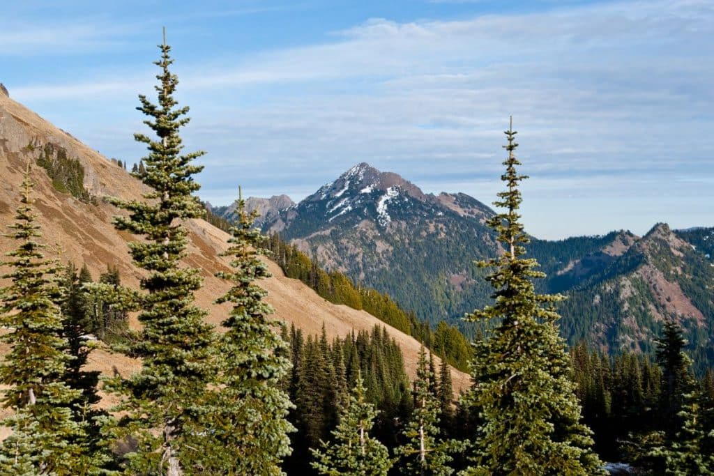 Mount Angeles in Olympic National Park