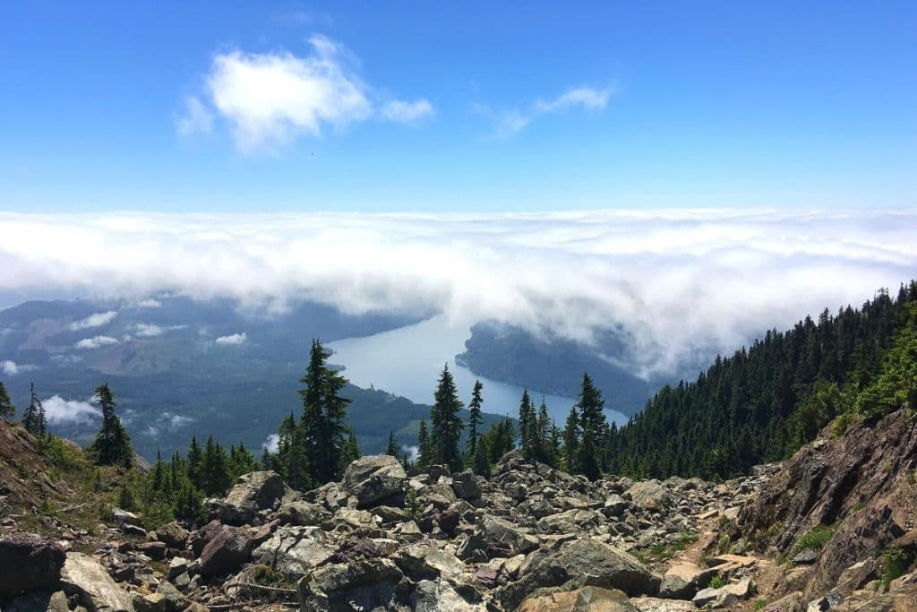 View from Mount Ellinor in Olympic National Park