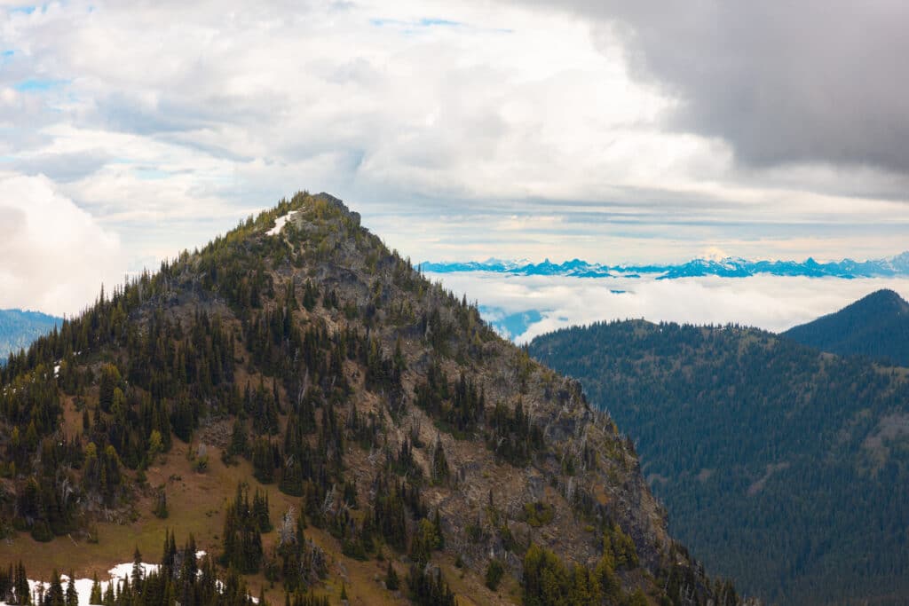 Views from Sourdough Ridge in Mount Rainier National Park