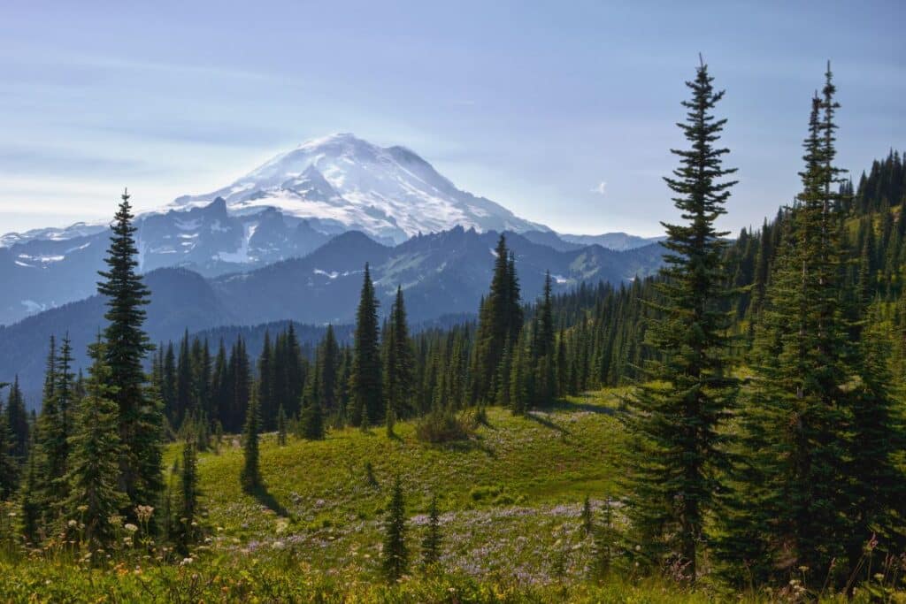 Naches Peak Trail in Mount Rainier National Park