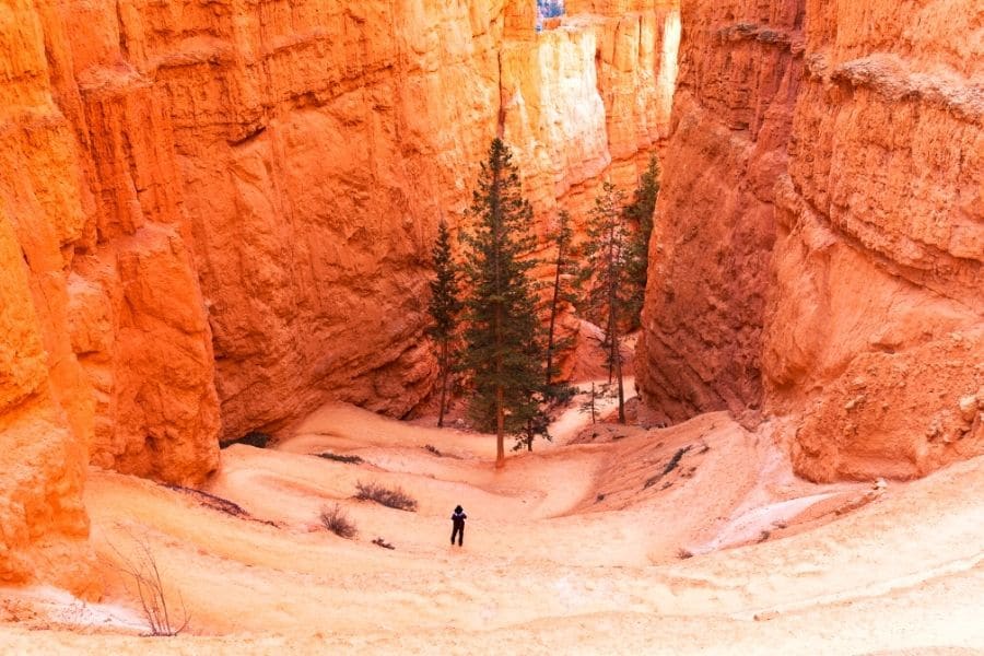 Navajo Loop Trail in Bryce Canyon