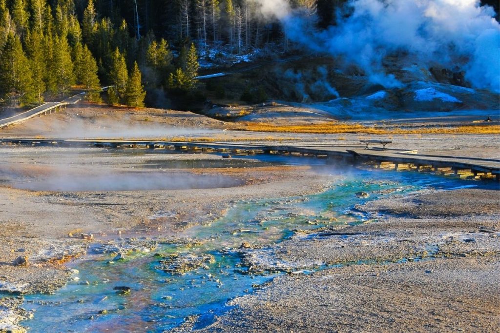 Blue creek flows through ground in Norris Geyser Basin