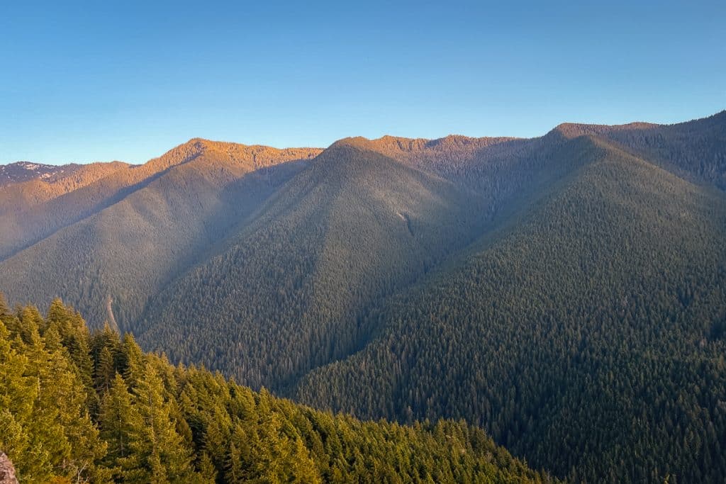 Olympic Mountains seen from the Mount Storm King trail