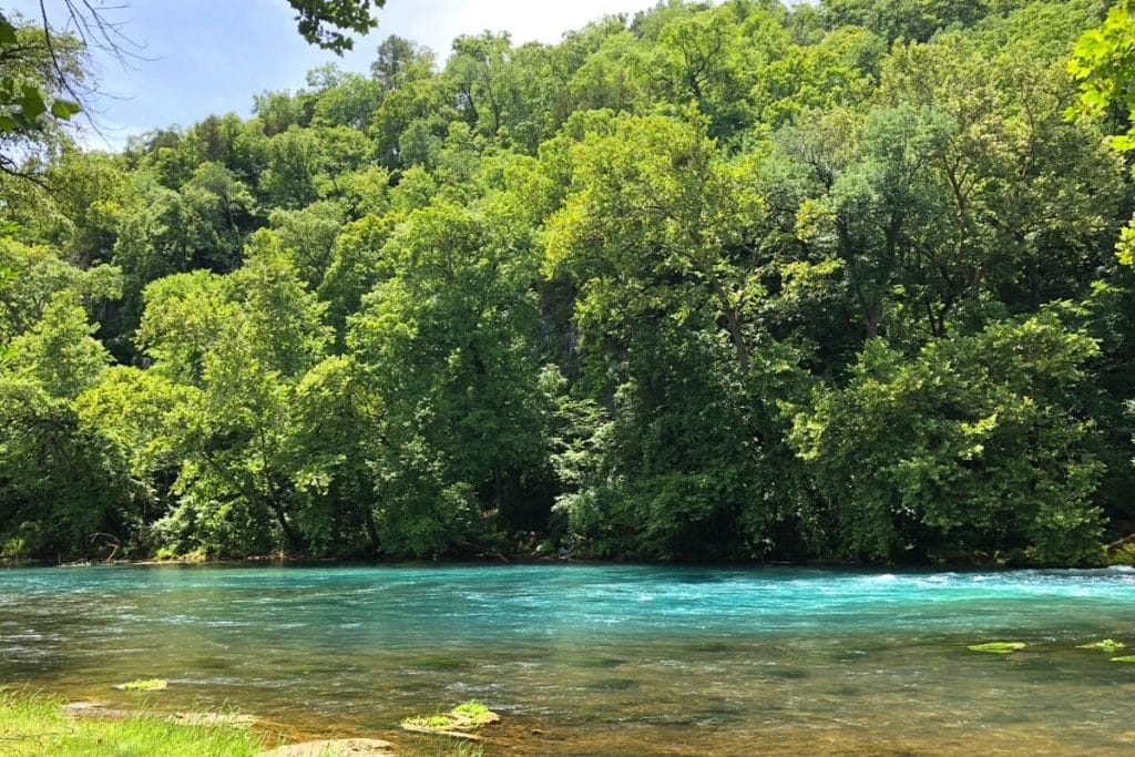 River and trees in Ozark National Scenic Riverway