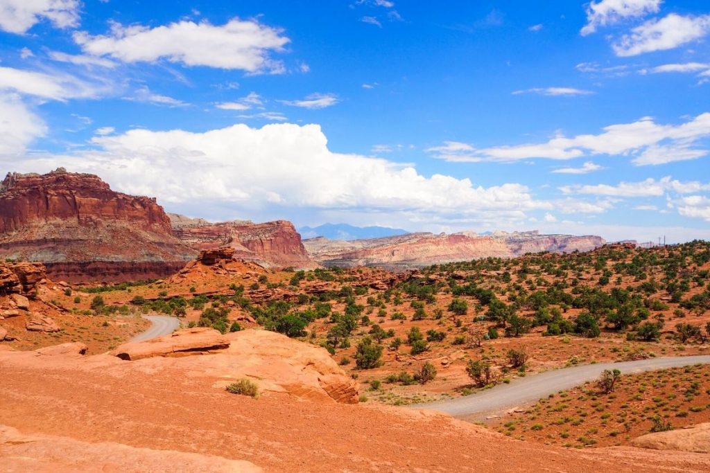 View looking at mountains, shrubs, and red rock in the distance from Panorama Point in Capitol Reef