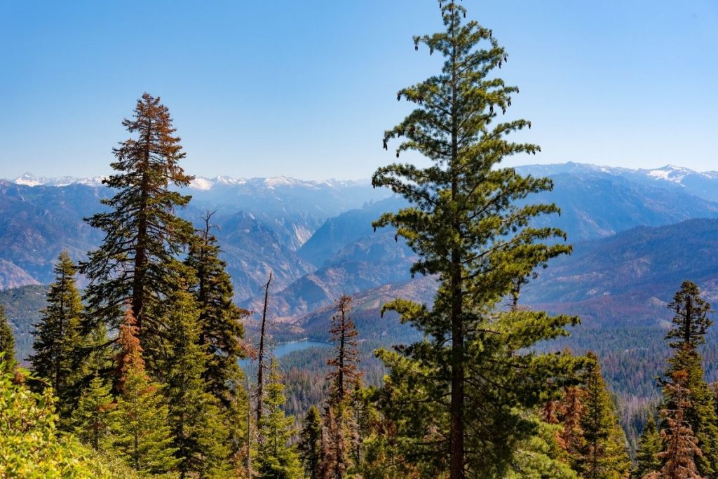 View of Kings Canyon mountains from Panoramic Point