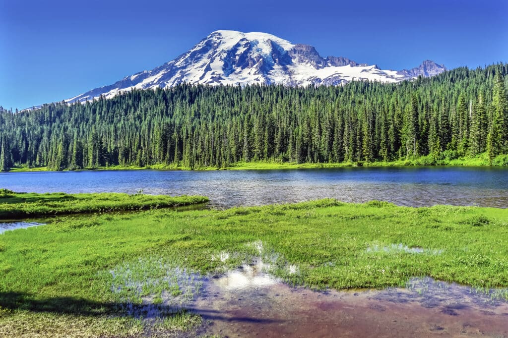 Reflections Lakes in Paradise in Mount Rainier National Park