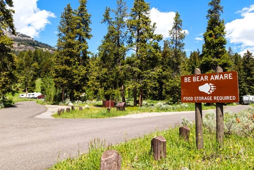 Sign stating to be bear aware at Pebble Creek Campground in Yellowstone