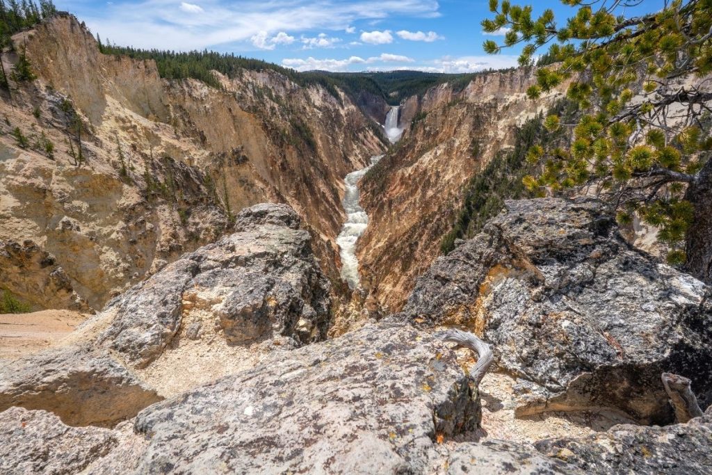 Yellowstone River and Lower Falls from Point Sublime Trail