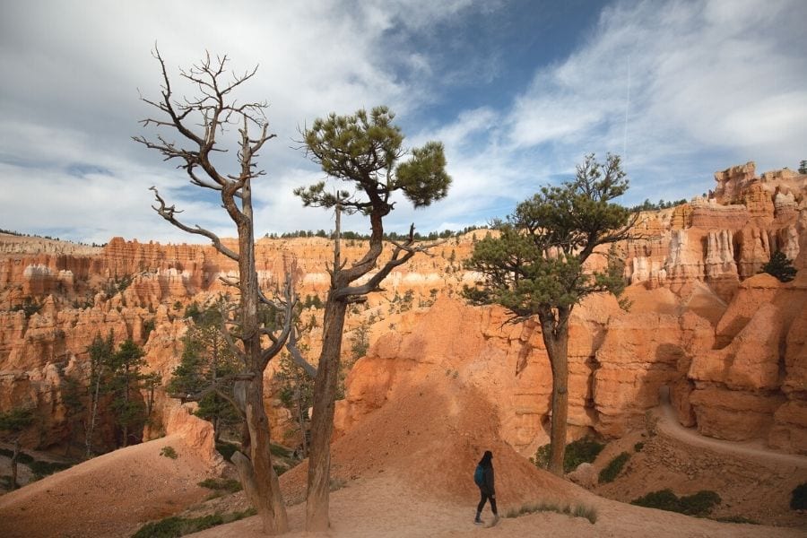 Hiking the Queens Garden Trail in Bryce Canyon National Park