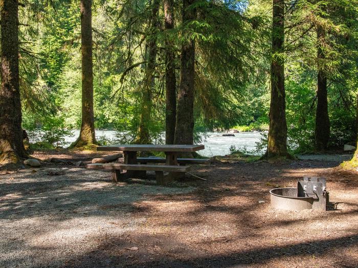 Queets Campground Olympic National Park